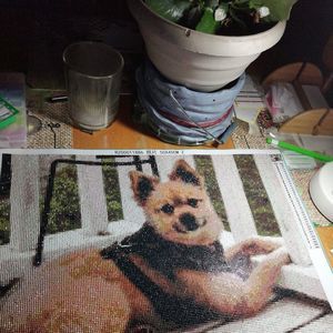 Meet your Posher, Tina